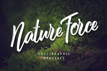 45+ Best Earthy & Nature Fonts 2026