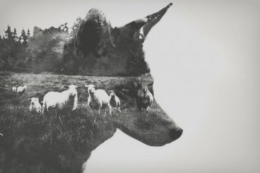 100+ Best Photoshop Filters + Plugins 2026 (+ How to Use Them)