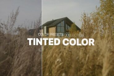 25+ Best Color Grading Presets for Premiere Pro