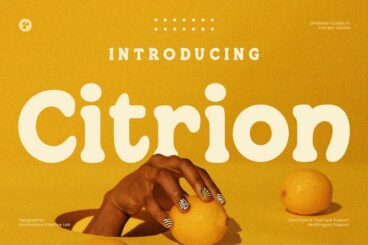20+ Best Rounded Serif Fonts for Modern Aesthetics