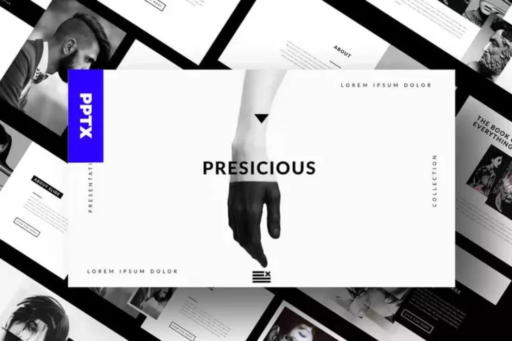 View Information about Agency Portfolio PowerPoint Template