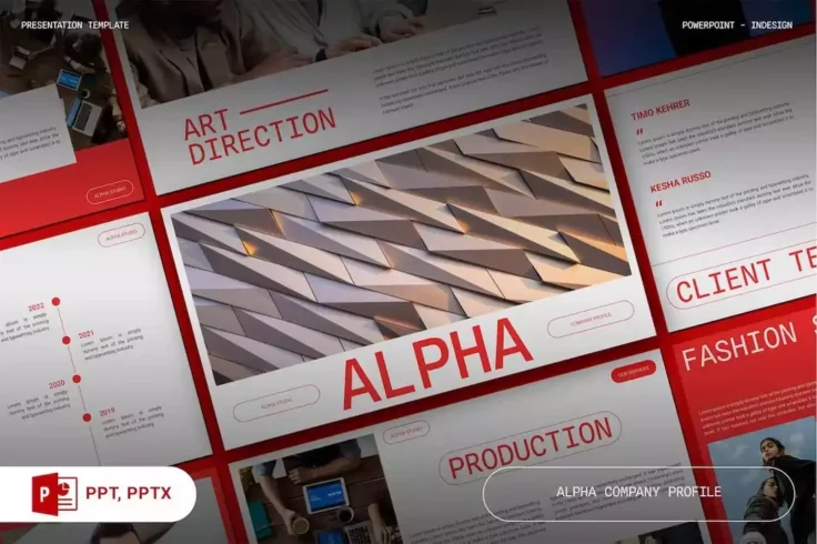 View Information about Alpha Company Profile Presentation