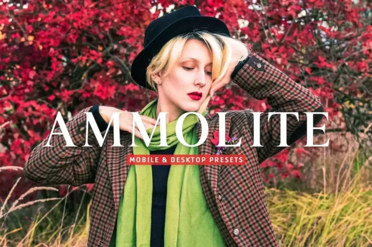View Information about Ammolite Creative Lightroom Presets