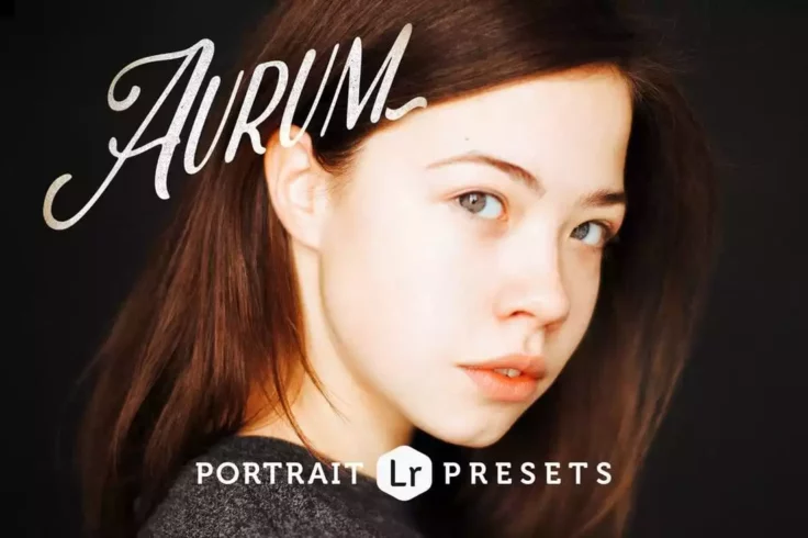 View Information about Aurum Portrait Lightroom Presets