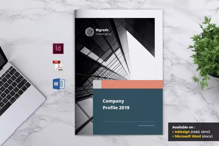 View Information about BIGREDS Professional Company Profile Word Template