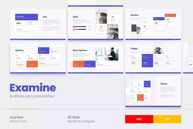 View Information about Examine Business Plan Template Google Slides