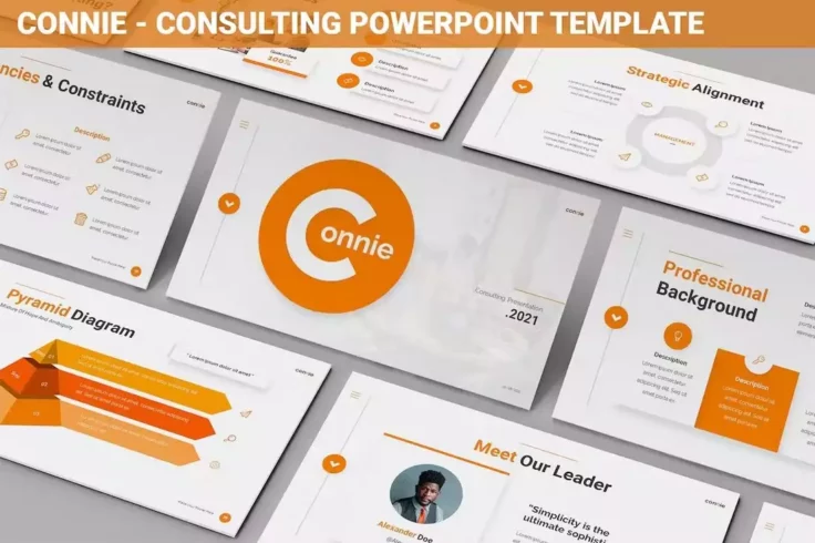 View Information about Connie Consulting PowerPoint Presentation Template