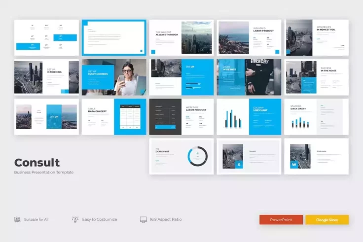 View Information about CONSULT Professional Presentation
