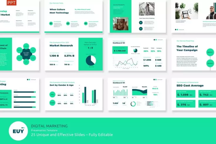View Information about EUY Digital Marketing Presentation Template