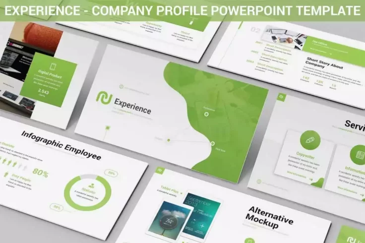 View Information about Experience PowerPoint Company Profile Template