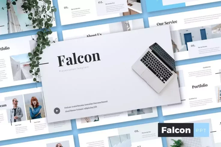 View Information about FALCON Company Profile Presentation