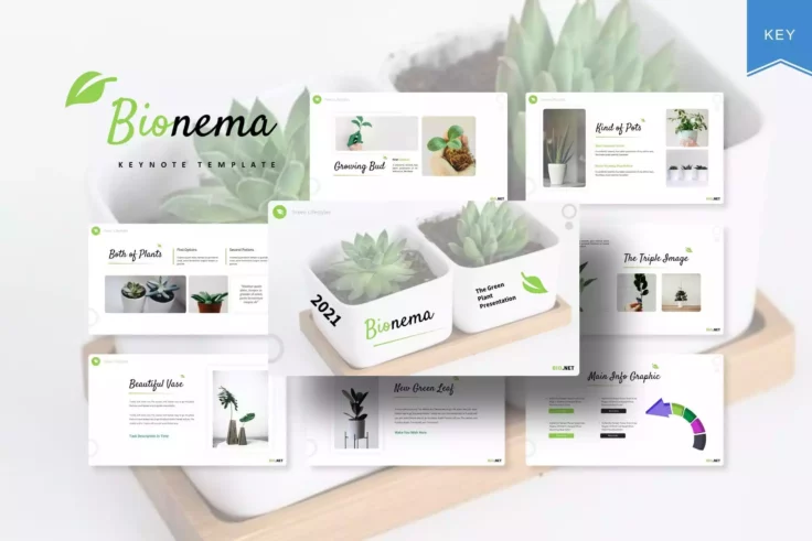 View Information about Bionema Impressive Keynote Template