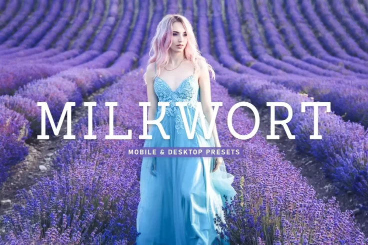 View Information about Milkwort Lightroom Presets
