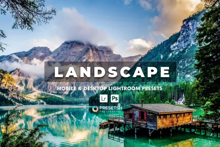 View Information about Landscape Lightroom Presets