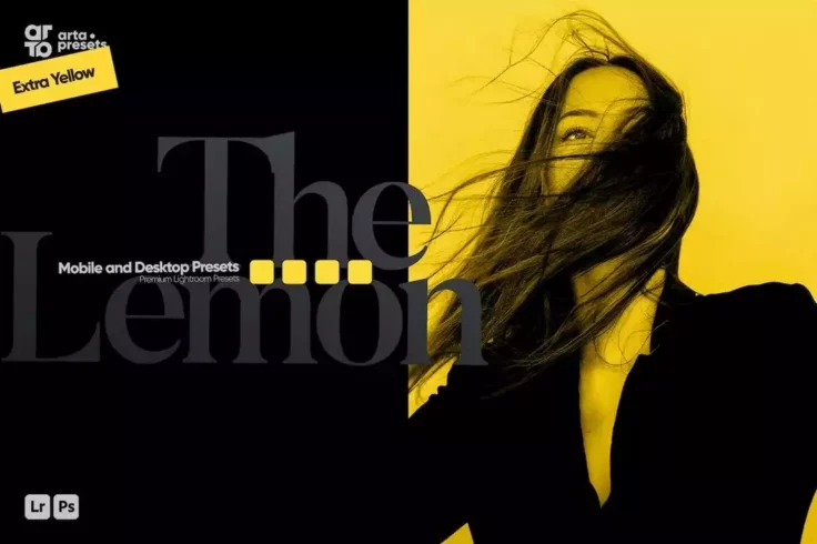 View Information about Lemon Color Tone Portrait Presets for Lightroom