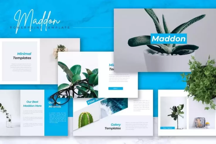 View Information about MADDON Company Profile Presentation