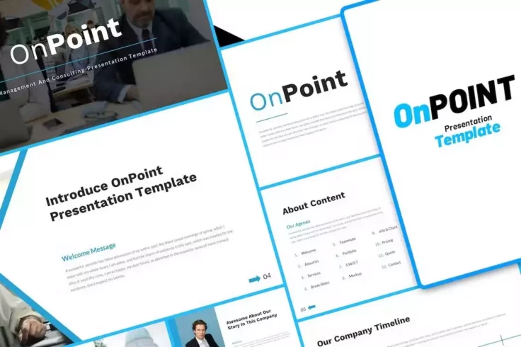 View Information about OnPoint Management Consulting PowerPoint Template