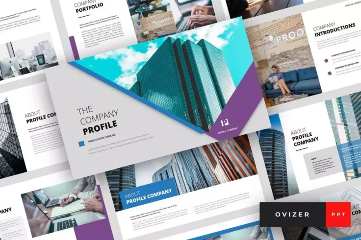 View Information about Ovizer Company Profile Presentation