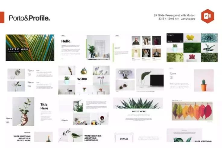 View Information about Porto & Profile PowerPoint Template