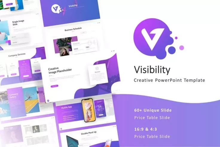 View Information about Visibility Presentation Template