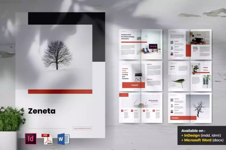 View Information about ZENETA Agency Company Profile Template